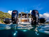 Easy access to and from the water with stainless steel boarding ladder